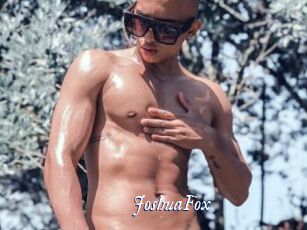 JoshuaFox