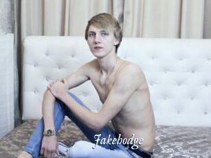 Jakehodge