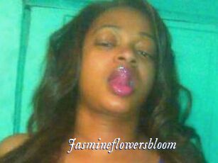 Jasmineflowersbloom