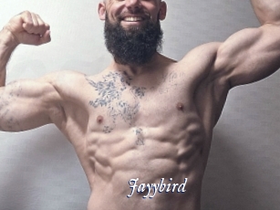 Jayybird