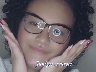 Juniper_camrose