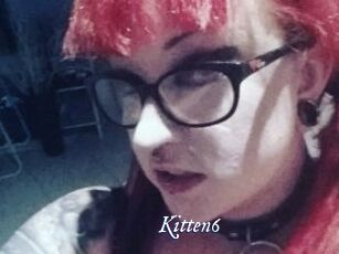 Kitten6