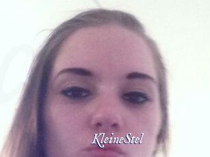 KleineStel