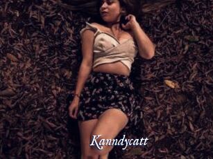 Kanndycatt