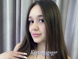Karinagignger
