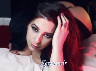 Karinanoir
