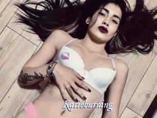 Katieburning
