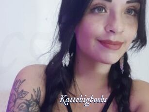 Kattebigboobs