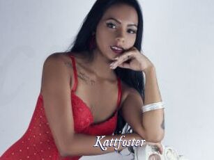 Kattfoster