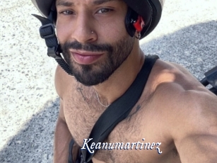 Keanumartinez