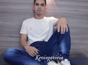 Kevingaviria