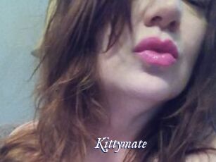 Kittymate