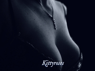Kittyroses