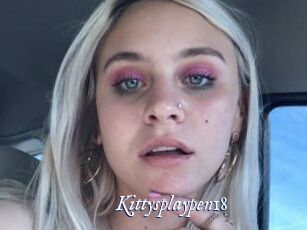 Kittysplaypen18