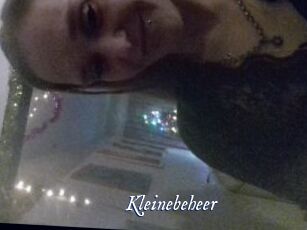 Kleinebeheer