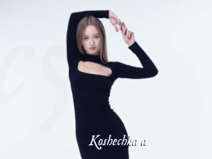 Koshechka_a