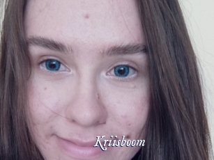 Kriisboom