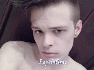 LapkinGray