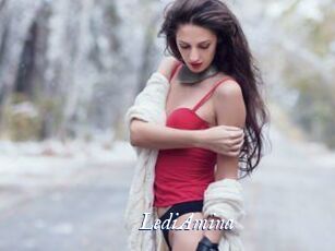 LediAmina
