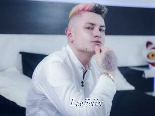 LeoFelix Cam 5
