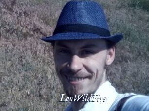 LeoWildFire