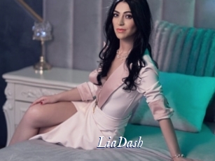 LiaDash Cam 5