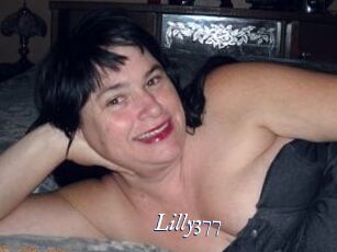 Lilly377