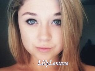 LillyLantana