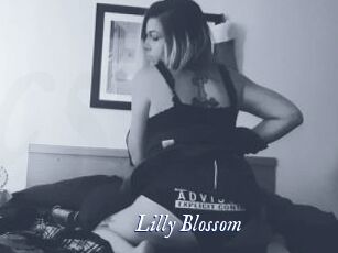 Lilly_Blossom