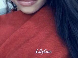 LilyCam