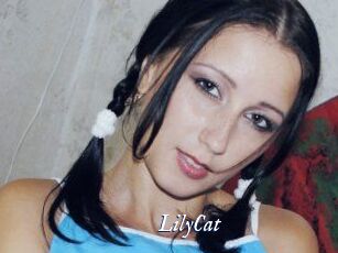 Lily_Cat_