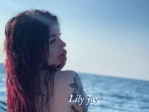 Lily_Jay