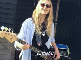 LittleSis