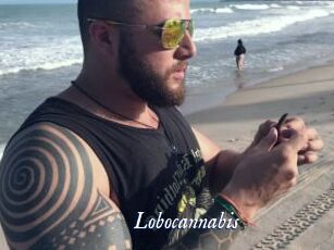 Lobocannabis