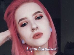 Lupin_Cearuleum