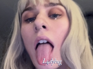 L4dybug