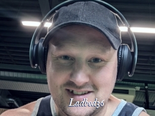 ladbod36 Cam 5