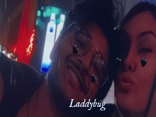Laddybug