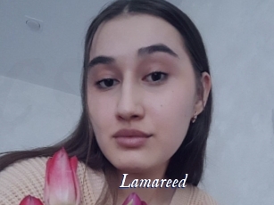 Lamareed