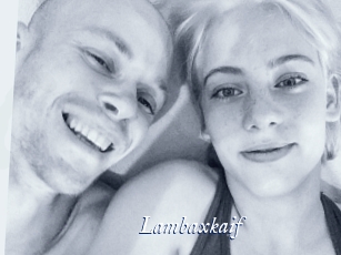 Lambaxkaif