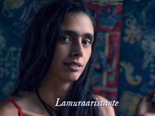 lamuraaristante Cam 5