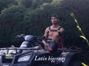 Latin_bigcrazy