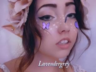 Lavendergrey