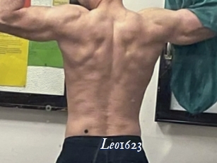 leo1623 Cam 5