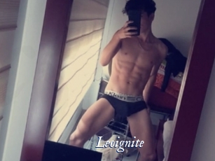 Leoignite