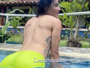Leonardosantos