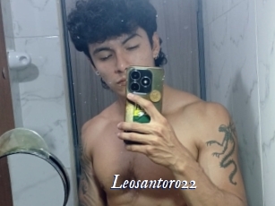 leosantoro22 Cam 5