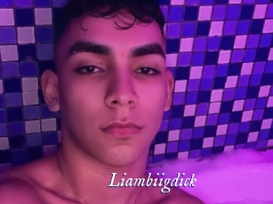 Liambiigdick
