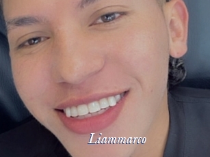 liammarco Cam 5