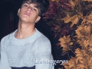 Liamtargaryen